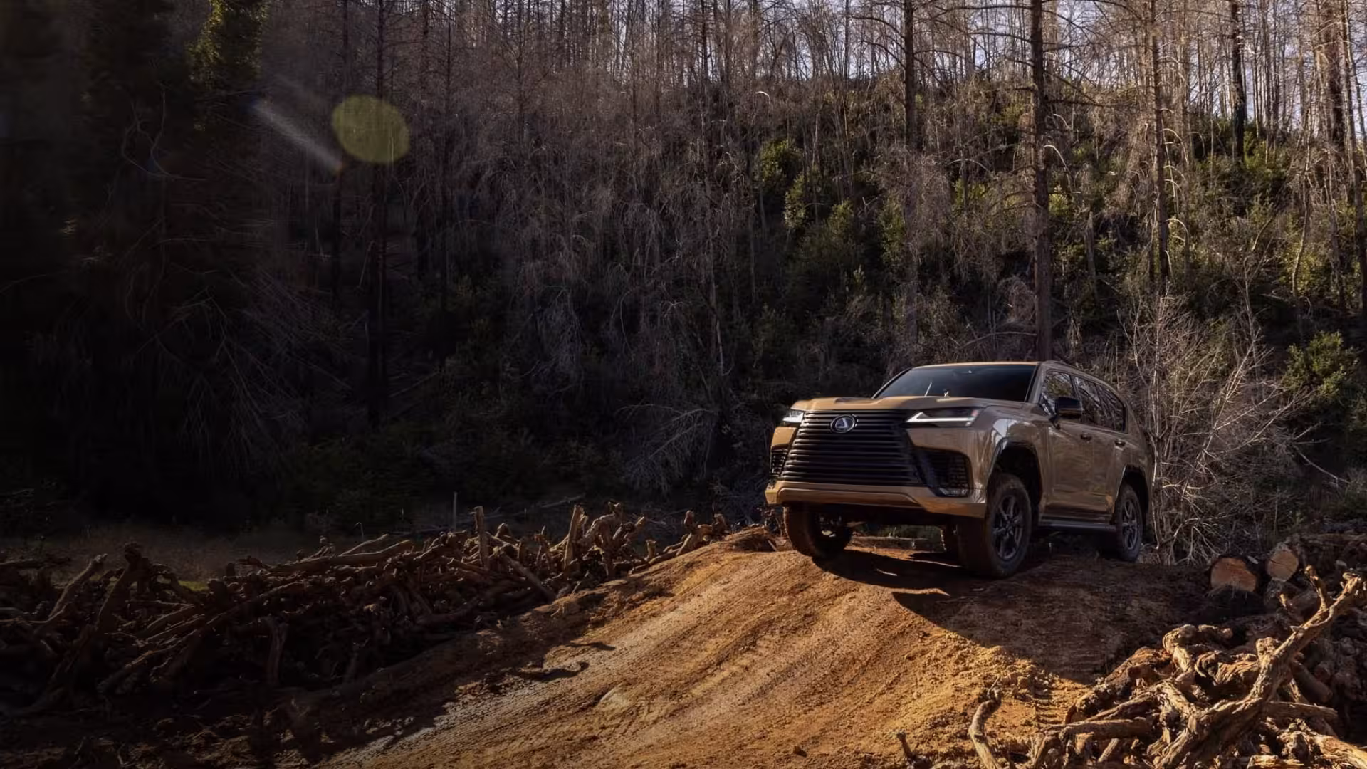 Полная проверка.Ноль сюрпризов.